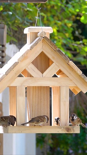 Adorable birdhouse making from old pallets #pallets #birdshouse #birdfeeder #home #maker #birds | Woodworking Crafty