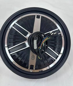 [Hot Item] Two Wheel electric Bike Motor Kit Electric Cycle E Bicycle Universal 110 Drum Brake Parts