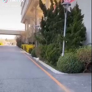 3.3K views · 28 reactions | Sit on toilet too long  | Animals Nature | Facebook