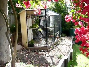 Gorgeous Garden Aviary for Finches 2