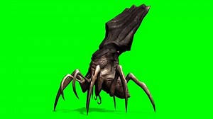 Spider Alien Monster Creatur Animation Green Stock Footage Video (100% Royalty-free) 1006925602 | Shutterstock