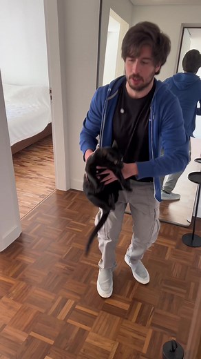 #pets