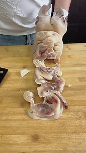 Omg, pig feet | Creation Hive