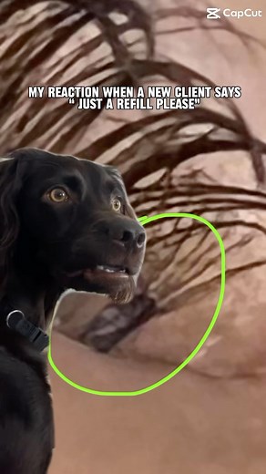 You feel me? #badlashes #badlashextensions #lashclients #lashartist #lashbusiness #lashtribe #eyelashextensions | Lash Tribe | Facebook