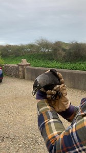 Moonbeams Kiss The Sea on Reels | Facebook