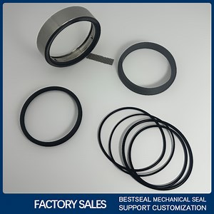 [Hot Item] Curc Cartridge Mechanical Seals Repair Kit for Aesseal Pump Carbon Seal Tc Ring