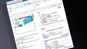 Le site de traduction Reverso épinglé pour dérapages racistes et sexistes | RTS