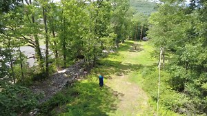 1.1K views · 12 reactions | Camp shirt? Check. Sneakers? Check....