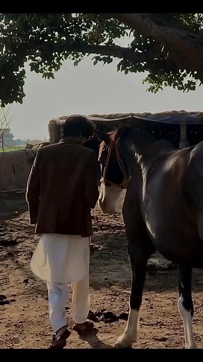 sidu mosawala lyrics #viral #vedio #public #fyp | Adnan Abraheem