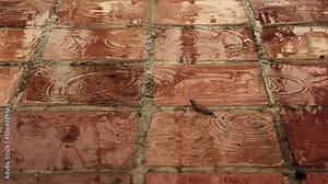 Time-lapse of the rain falling on a rustic clay tile floor, in a farm in the eastern Andean mountains of central Colombia. Stock Video