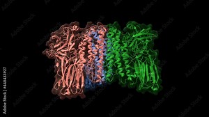 Structure of mosquito-larvicidal toxin Cry4Ba from Bacillus thuringiensis, animated 3D cartoon and Gaussian surface models, chain instance color scheme, based on PDB 1w99, black background