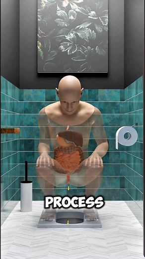 How Poop Comes Out of Your Body | 3D Animation #shorts #reels | Sci Nut