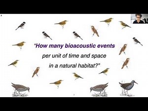 An interactive Human—Animal—Robot approach to distance sampling in bioacoustics