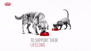 Royal Canin Veterinary Diet Canine Gastrointestinal Low Fat Adult Loaf Dog Food, 13.5 oz (Pack of 24)