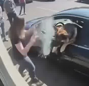 13K views | I BROKE A STRANGER’S CAR WINDOW TO RESCUE A DOG — AND...