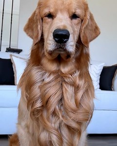 What a slay! 💅 💇‍♀️ | Furry Tails