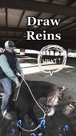 Draw Reins: A Guide to Using Them Effectively for Horse Training