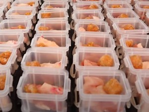 Préparation des rations BARF (vidéo)