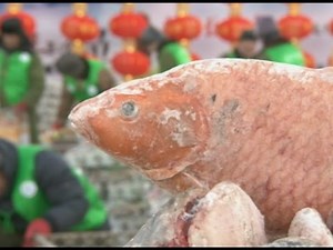 Fish Warehouse Bustling As Winter Fishing Kicks off in Northeast China Lake