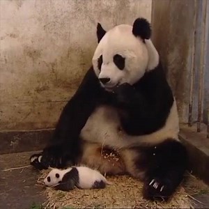 195K views · 10K reactions | Enjoy Good Times together with daily feeds of interesting videos and stories. | Good Times | Facebook