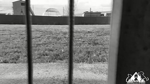 Lui è #Yago, ha 6 anni e non ce la fa più a stare rinchiuso. Aiutalo a diffondere la sua voce #tuttiAcasa ALFA Love For Animals Dona ad ALFA il tuo #5x1000 CF. 11728431005 www.associazione-alfa.org/5x1000 | ALFA Associazione Love For Animals