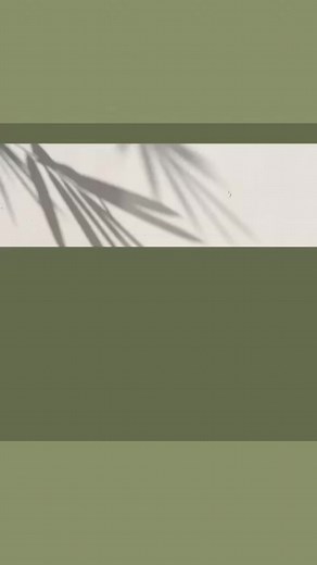 Guillermo Rodriguez on Reels