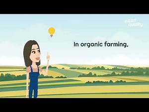 Environmental enrichments to improve pig welfare in organic husbandry