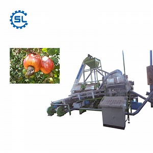 [Hot Item] Cashew Nut Shelling Peeling Processing Machine Cost in Vietnam