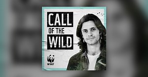 Saving Our Wild Isles – with Deborah Meaden, Nadeem Perera and Megan McCubbin - Call Of The Wild