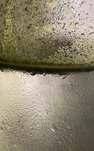 19 reactions | #barley | Ian Castro | Facebook