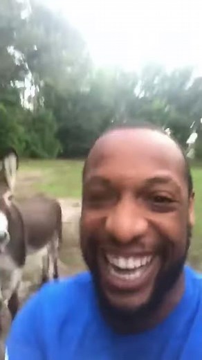 VIRAL video - Lion King Song Funny Parody/Imitation