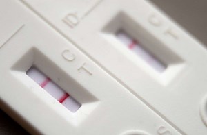 Baden-Württemberg und Rheinland-Pfalz: Betrug mit Corona-Schnelltests - Zwei Männer im Verdacht