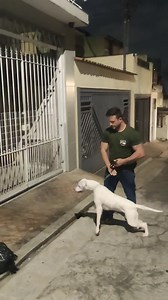 A pequena Carmen Lúcia! | Francisco Canto