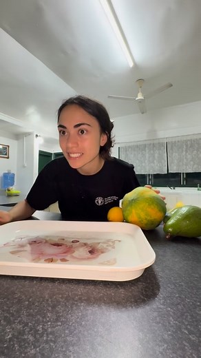 6.9K views · 1K reactions | Heavely Home is the bigger home with Unlimited Wifi, hot water, washing machine, drier, 4 bedrooms, 8 beds and 2.5 bathrooms. See you soon. #samoan #samoa #accommodation #holiday | Lupe Accomodations | Facebook