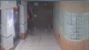 2.4K views · 11 reactions | Clay County, Missouri Sheriff on Reels | Facebook