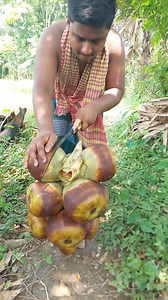 31K views · 280 reactions | Eating Ice Apple Tal in This Hot Season Very Effective for Summer | Street Food Collecting | Facebook