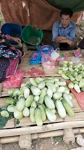 1.1K views | Dib toj siab ma thiaj txawj qab tau laj siab os | Mim Yaj | Facebook