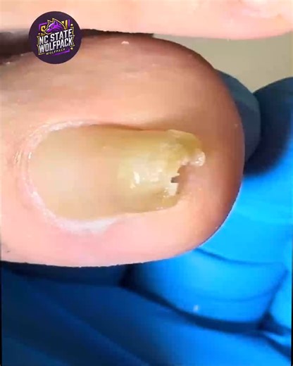 2212. Build a monthly grocery planner with limited budget food labels #BudgetFriendly #GroceryLabels #EverydayWellness | NC State Wolfpack on TheWolfpacker.com