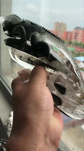 129 reactions | Amazing garden quartz lizard!!  | Crystal skull world | Facebook