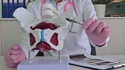 Surgeon shows female pelvic bones and scalpel. Reconstructive plastic...