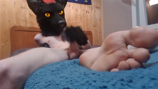 POV : you're a naughty wolf 👀😈