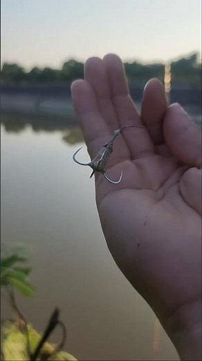 Fishing with a homemade hook #fishing