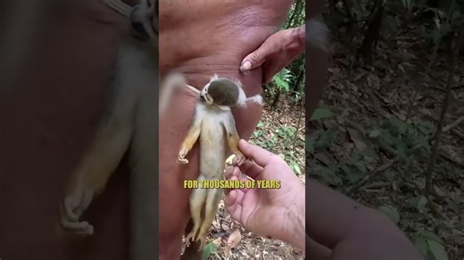 My taste test of monkey meat gone viral!