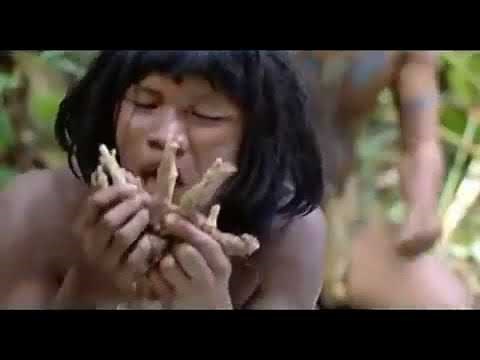 Bo Toc An Thit Nguoi Trong Rung AmaZon clip0 avi YouTube YouTube