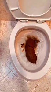 Monster Clogs Toilet