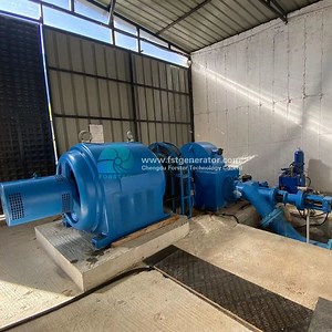 [Hot Item] Brushless Mini Hydro Power Plant Micro Hydro Generator