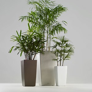 [Hot Item] Plastic Outdoor Garden Tall Large Size Living Room Indoor Modern Flower Pots & Planters Containers Plant Pots Wholesale