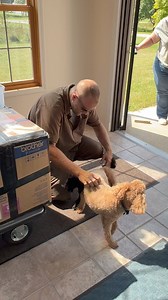 Our Dogs LOVE the UPS guy! After Lucy gets done barking at the skeleton, she is quick to get some loving from Josh. (AKA the UPS guy). | Too Cool T-Shirt Quilts