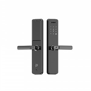 [Hot Item] Custom Tuya APP WiFi Intelligent Digital Biometric Fingerprint Scanner Password Smart Door Lock