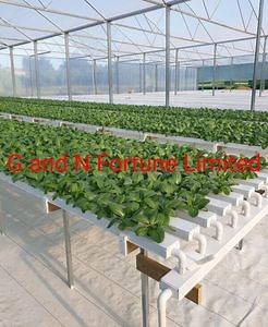 [Hot Item] Hydroponics Growing System Indoor Hydroponic System Vertical Farming Nft Channel